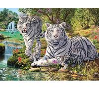 XiuTaiLtd Jigsaw Puzzle 1000 Piece For Adults & For Kids，White Tigers,75X50Cm, For Friends
