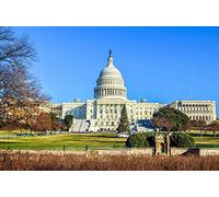 XiuTaiLtd Jigsaw Puzzle Landmark United States Capitol Washington DC 1000-Pieces Puzzles