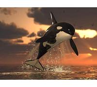 XiuTaiLtd Jigsaw Puzzle Orca 1000 Pieces,75X50Cm, For Friends