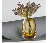XIUWOUG Thick Glass Vase for Home Decor,Clear Bud Vase Small Glass Bottle Vase for Centerpiece,Tabletop Decoration(vase only),amber L