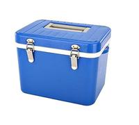 XiVue Thermoelectric Mini Fridge Cooler and Warmer - for Home,Office, Car, Dorm or Boat - Compact & Portable