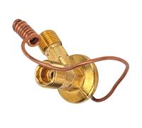Xixian Car AC Thermal Expansion Valve Brass 3 Point Single Double Tail Auto Air Conditioning Replacement Part for Vehicle Cooling System Repair Kit