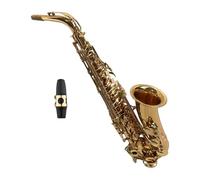 Xixian Eb Alto Saxophone for Beginners & Professionals - Brass Body, Gold Lacquer, Complete Setup
