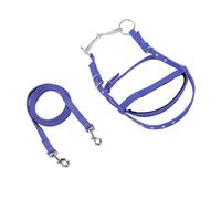 Xixian Nylon Adjustable Horse Bridle Reins for Training, Side Rein & Headstall Use (Small Size)