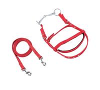 Xixian Nylon Adjustable Horse Bridle Reins for Training, Side Rein & Headstall Use (Small Size)