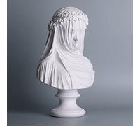 XIYOUQI Veiled Lady Bust Veiled Maiden Sculpture Bust 13.7 Inch Gothic Statue Cloak Woman Statue Bust Handmade Resin Crafts Home Decor Aesthetic for Home Art Collection Ornament, White