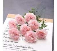 XIYUAN 15 Inch Bouquets 15 Stem Carnations,Carnations Artificial Flowers,No Fade Artificial Flower, Silk Petals Fake Flowers Forever Plants for Home Party and Wedding Decor (Light Pink)