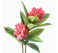 XIYUAN 35.5 Inch Artificial Flowers Artificial Frangipani Flower 2 Stems Lifelike Real Touch Artificial Plumeria Flowers for Home Party Wedding Bouquet Home Decoration (Red)