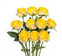 XIZHI 10 Pcs Single Artificial Rose Flowers Realistic Silk Roses Flower Bouquets Fake Rose Bouque Stem for Home Wedding Bridal Shower Party Decor (Yellow)