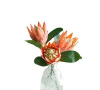 XIZHI 3 Stem King Protea Artificial Flowers Real Touch Silk Protea Cynaroides for Wedding Table Centerpieces Flower Arrangements Decor Bouquet (Orange)