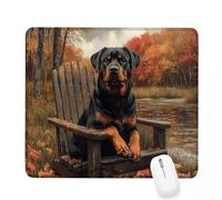 Xjaopfei Orange Mouse Pad 420x350x3mm Dog Small Mouse Mat with Rubber Base Slogan Non-Slip Splash Resistant Surface Portable Desk Mat for Office, Home Gaming Desktop Decor, Men Gifts J-547