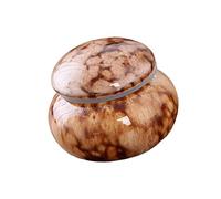 Xjdzineq Artistic Ceramic Urn Ashes Holder for Pet Ashes Human Cremation Elegant and Heartfelting Home Shelf Display Pet Cremation Urn