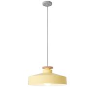 XJEIVJIC Minimalist Pendant Light Fixtures Engineering Lamps Chandeliers Decorated Japanese Restaurant Hanging Lamp E27 Fashion Coffee Shop Milk Tea Shop,for Kitchens