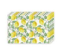 XJKLBYQ Lemon Placemats Set Summer Fruit Heat Resistant Table Place Mats Linen Tablemats Dining Table Decoration 4PCS 30x45cm Place Mats