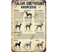 XJPXFQ Funny Retro Tin Sign Anatomy Of An Italian Greyhound Metal Poster Plaques Home Decoration Canvas Painting Poster 12X8Inch