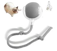 XJPXFQ Toy Cat Toys Interactive Birdsong Cat Rolling Ball Cat's Accessories Pet Kitten Motion Activated Sensor Cats Things(4)
