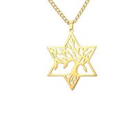 XJPXGIND Tree of Life in Hexagram Star Necklace Star of David Jewish Necklace Protection Amulet Jewelry