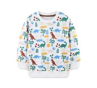 XJUERAA Girls Boys Jumper Sweatshirt Dinosaur Butterfly Animal World Kids Unisex Tops Children Little Baby Long Sleeve Polyester Jumpers Outfits Casual Crewneck Autumn Winter Clothes Age 1-7 Years