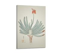 XKUGA 19th Century Flower Poster Botanical Anatomy Guide Poster Decorative Painting Canvas Wall Posters And Art Picture Print Modern Family Bedroom Decor Posters 24x36inch(60x90cm)