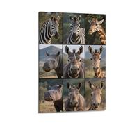XKUGA African Wildlife Poster Natural Habitat Deer Rhino Wild Donkey Poster Decorative Painting Canvas Wall Posters And Art Picture Print Modern Family Bedroom Decor Posters 12x18inch(30x45cm)