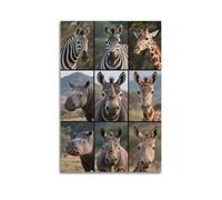 XKUGA African Wildlife Poster Natural Habitat Deer Rhino Wild Donkey Poster Decorative Painting Canvas Wall Posters And Art Picture Print Modern Family Bedroom Decor Posters 20x30inch(50x75cm)