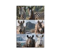 XKUGA African Wildlife Rhino Habitat Zebra Wild Horse Poster Poster Decorative Painting Canvas Wall Posters And Art Picture Print Modern Family Bedroom Decor Posters 16x24inch(40x60cm)