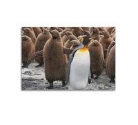 XKUGA Antarctica Wildlife Poster Nature Vintage Penguin Habitat Modern Decorative Canvas Prints - Ideal Wall Art for Family, Man Cave, Game Room, Boys & Girls Bedroom 16x24inch(40x60cm)