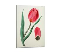 XKUGA Antique Rare Flower Guide Poster Botanical Illustration Poster Decorative Painting Canvas Wall Posters And Art Picture Print Modern Family Bedroom Decor Posters 20x30inch(50x75cm)