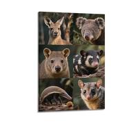 XKUGA Australian Wildlife Photography Poster Poster Decorative Painting Canvas Wall Posters And Art Picture Print Modern Family Bedroom Decor Posters 24x36inch(60x90cm)