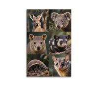 XKUGA Australian Wildlife Photography Poster Poster Decorative Painting Canvas Wall Posters And Art Picture Print Modern Family Bedroom Decor Posters 12x18inch(30x45cm)