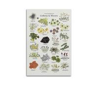 XKUGA Botany Guide Poster Mosses & Lichens Modern Decorative Canvas Prints - Ideal Wall Art for Family, Man Cave, Game Room, Boys & Girls Bedroom 12x18inch(30x45cm)