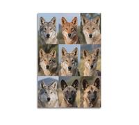 XKUGA Jungle Beasts Poster Wolf Species Guide Poster Decorative Painting Canvas Wall Posters And Art Picture Print Modern Family Bedroom Decor Posters 16x24inch(40x60cm)