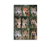 XKUGA Jungle Beasts Poster Wolf Species Guide Poster Decorative Painting Canvas Wall Posters And Art Picture Print Modern Family Bedroom Decor Posters 20x30inch(50x75cm)