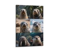 XKUGA Marine Mammals Poster Polar Seals Tropical Sea Poster Decorative Painting Canvas Wall Posters And Art Picture Print Modern Family Bedroom Decor Posters 24x36inch(60x90cm)