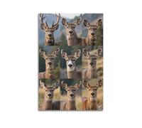 XKUGA North American Wildlife Nature Deer Habitat Poster Poster Decorative Painting Canvas Wall Posters And Art Picture Print Modern Family Bedroom Decor Posters 20x30inch(50x75cm)