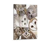 XKUGA Vintage Zoology Poster Owl Species Guide Poster Decorative Painting Canvas Wall Posters And Art Picture Print Modern Family Bedroom Decor Posters 20x30inch(50x75cm)