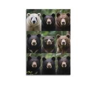 XKUGA Wild Beasts Poster Black Brown Bear Natural Habitat Poster Decorative Painting Canvas Wall Posters And Art Picture Print Modern Family Bedroom Decor Posters 16x24inch(40x60cm)