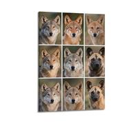 XKUGA Wildlife Canine Poster Wolf Pack Natural Habitat Poster Decorative Painting Canvas Wall Posters And Art Picture Print Modern Family Bedroom Decor Posters 24x36inch(60x90cm)