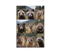 XKUGA Wildlife Conservation Poster Asian Black Bear Civet Poster Decorative Painting Canvas Wall Posters And Art Picture Print Modern Family Bedroom Decor Posters 20x30inch(50x75cm)