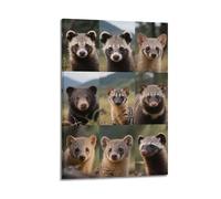 XKUGA Wildlife Conservation Poster Asian Black Bear Civet Poster Decorative Painting Canvas Wall Posters And Art Picture Print Modern Family Bedroom Decor Posters 16x24inch(40x60cm)