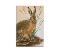 XKUGA Zoology Poster Vintage Rabbit Illustration Poster Decorative Painting Canvas Wall Posters And Art Picture Print Modern Family Bedroom Decor Posters 16x24inch(40x60cm)