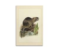 XKUGA Zoology Vintage Poster Beaver Mouse Illustration Poster Decorative Painting Canvas Wall Posters And Art Picture Print Modern Family Bedroom Decor Posters 24x36inch(60x90cm)