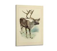 XKUGA Zoology Vintage Poster Christmas Deer Illustration Poster Decorative Painting Canvas Wall Posters And Art Picture Print Modern Family Bedroom Decor Posters 12x18inch(30x45cm)