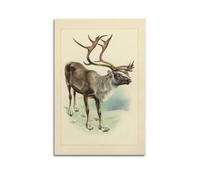 XKUGA Zoology Vintage Poster Christmas Deer Illustration Poster Decorative Painting Canvas Wall Posters And Art Picture Print Modern Family Bedroom Decor Posters 24x36inch(60x90cm)