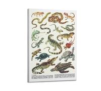 XKUGA Zoology Vintage Poster Cold Blooded Reptiles Poster Decorative Painting Canvas Wall Posters And Art Picture Print Modern Family Bedroom Decor Posters 12x18inch(30x45cm)
