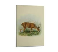 XKUGA Zoology Vintage Poster Cute Deer Illustration Poster Decorative Painting Canvas Wall Posters And Art Picture Print Modern Family Bedroom Decor Posters 24x36inch(60x90cm)