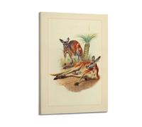 XKUGA Zoology Vintage Poster Kangaroo Illustration Poster Decorative Painting Canvas Wall Posters And Art Picture Print Modern Family Bedroom Decor Posters 12x18inch(30x45cm)