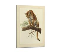 XKUGA Zoology Vintage Poster Leopard Illustration Poster Decorative Painting Canvas Wall Posters And Art Picture Print Modern Family Bedroom Decor Posters 20x30inch(50x75cm)