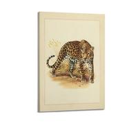 XKUGA Zoology Vintage Poster Leopard Illustration Poster Decorative Painting Canvas Wall Posters And Art Picture Print Modern Family Bedroom Decor Posters 12x18inch(30x45cm)