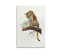 XKUGA Zoology Vintage Poster Leopard Illustration Poster Decorative Painting Canvas Wall Posters And Art Picture Print Modern Family Bedroom Decor Posters 16x24inch(40x60cm)